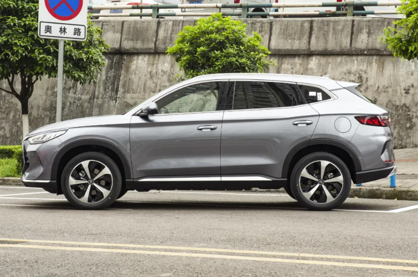 фото_20231116101346