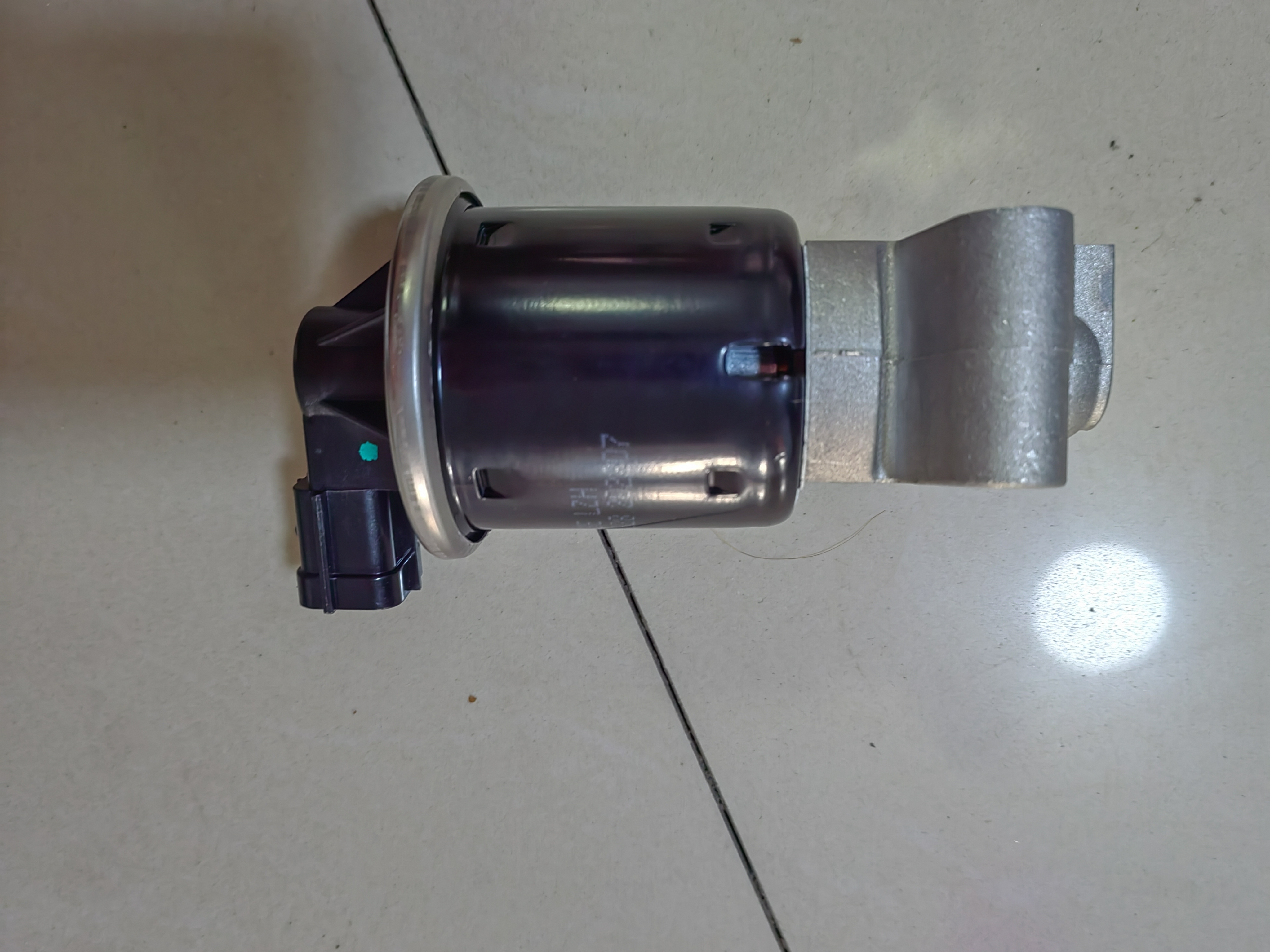 фото_20231128154959