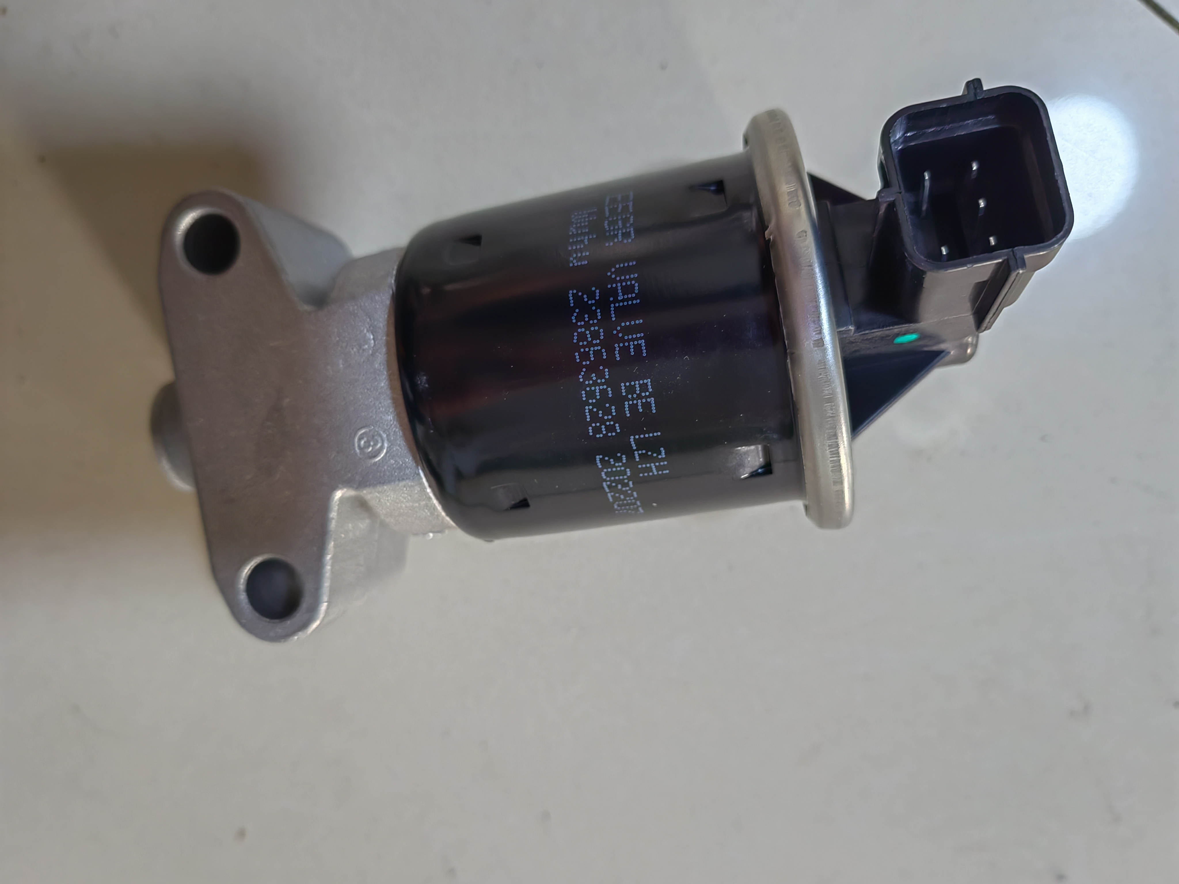 фото_20231128154950