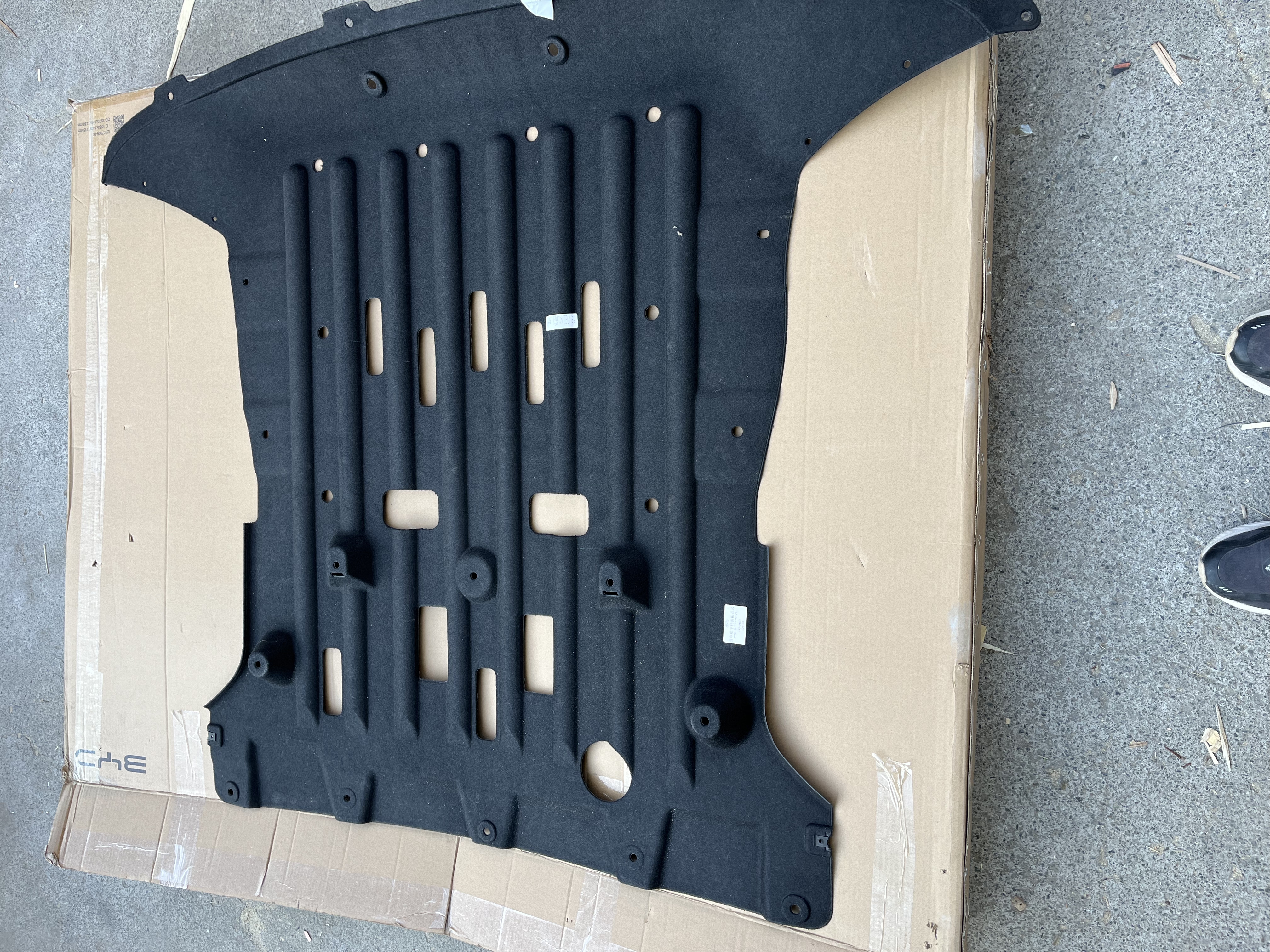 фото_20241106144919